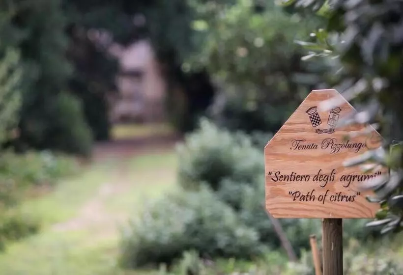 ホテル Azienda Agrituristica Tenuta Pizzolungo