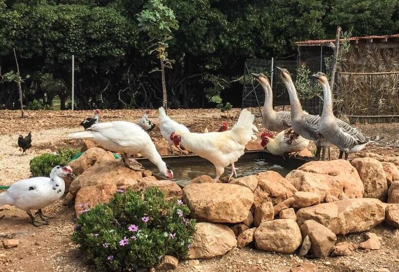 בית מלון כפרי Azienda Agrituristica Tenuta Pizzolungo