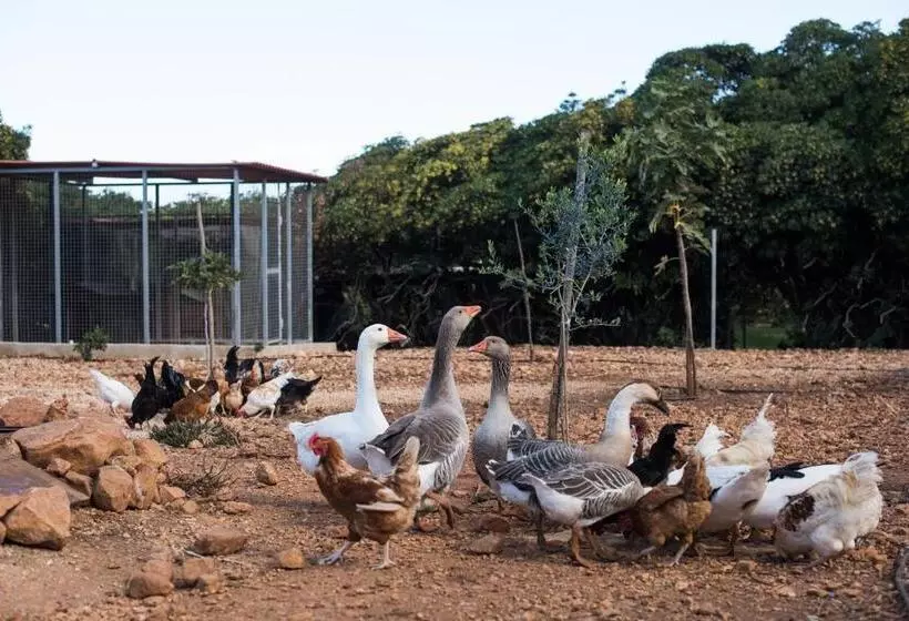 ホテル Azienda Agrituristica Tenuta Pizzolungo