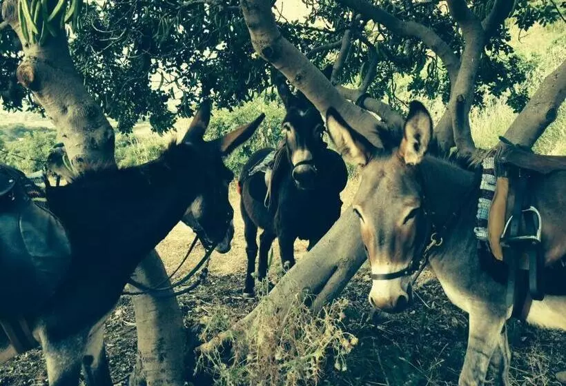 ホテル Azienda Agrituristica Tenuta Pizzolungo