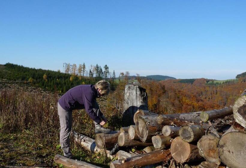 פנסיון Gasthof Zur Post