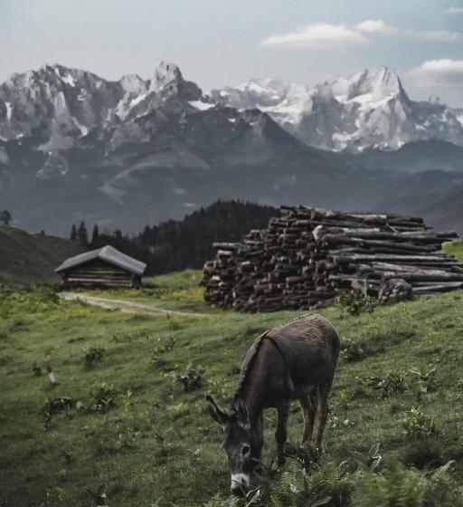 펜션 Gästehaus Eder