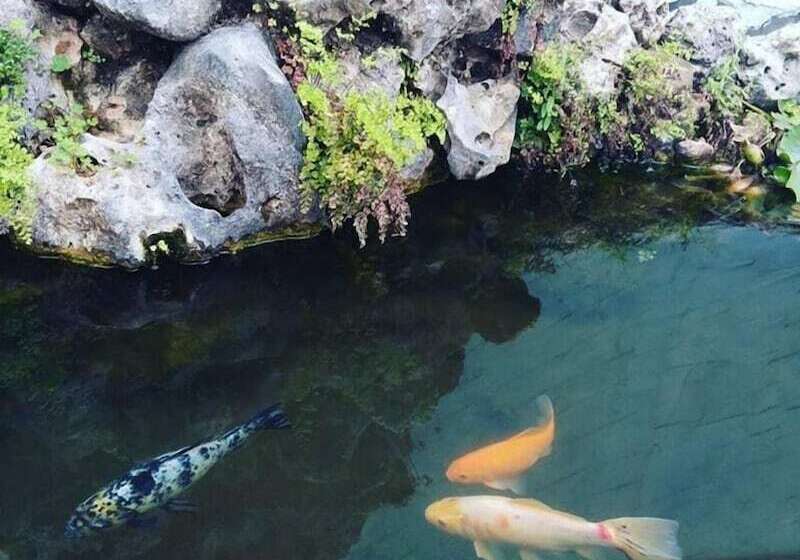 Пансион Guesthouse A Lareira