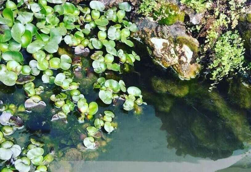 Пансион Guesthouse A Lareira