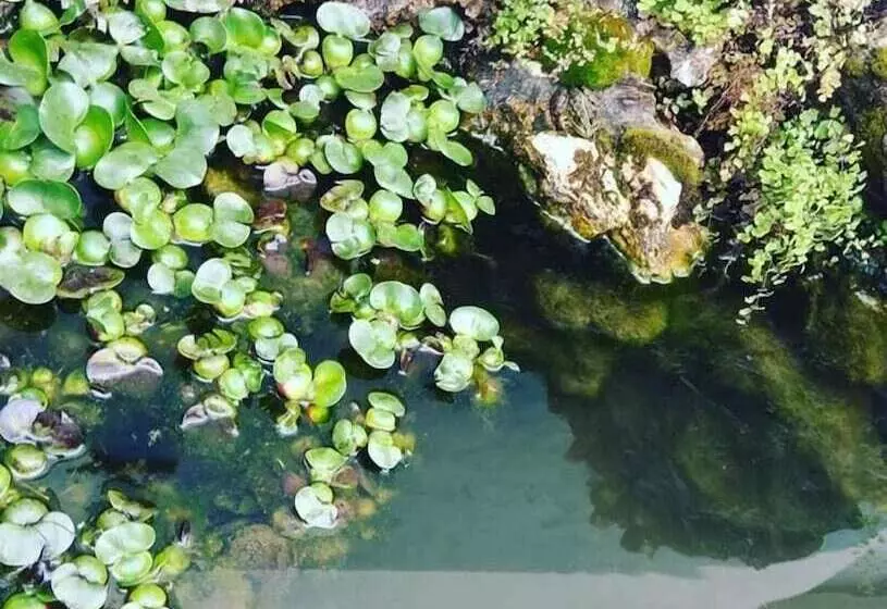 Majatalo Guesthouse A Lareira