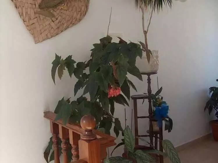 Majatalo Guesthouse A Lareira