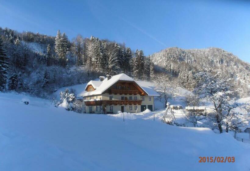 بنسيون Haus Kendlinger