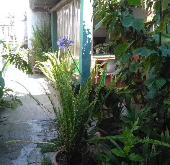 ペンション La Casa De Teresa