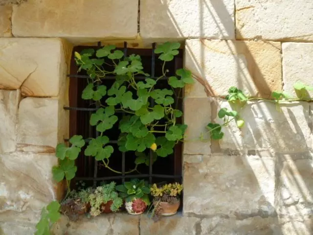 Majatalo Palacio De Arredondo