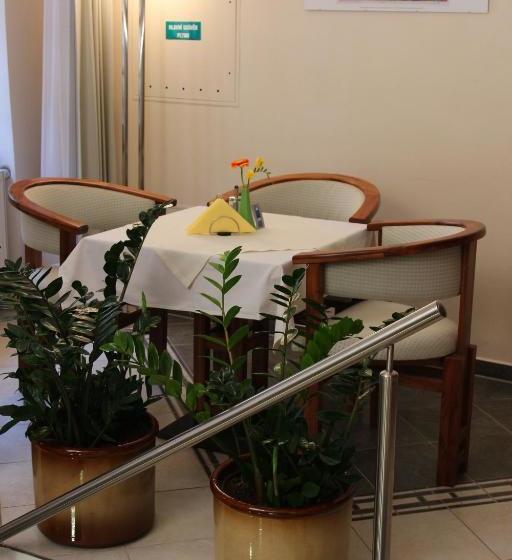 膳宿费 Penzion Na Hradě