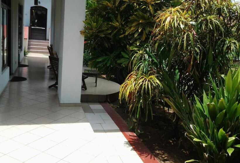 ペンション Tandem Guesthouse