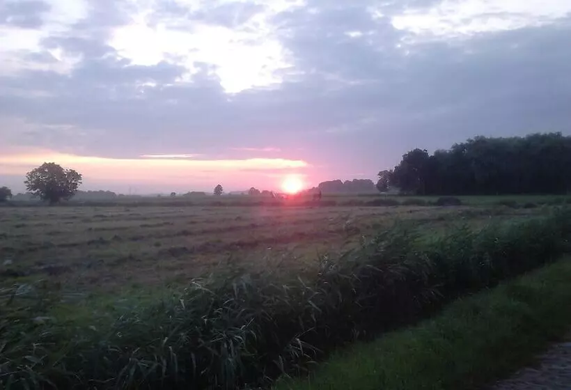 Majatalo Zum Alten Krug