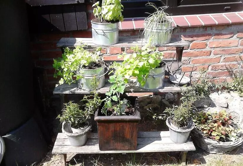 Majatalo Zum Alten Krug