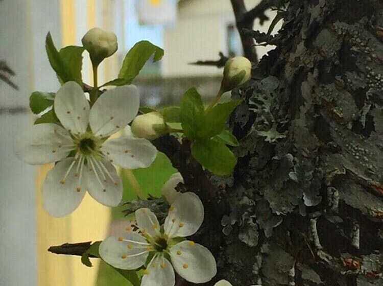 Solviken Tranås Hostel