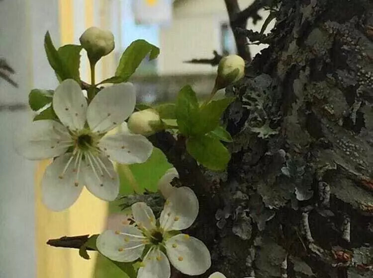 Solviken Tranås Hostel