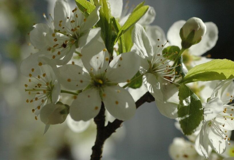 Solviken Tranås Hostel