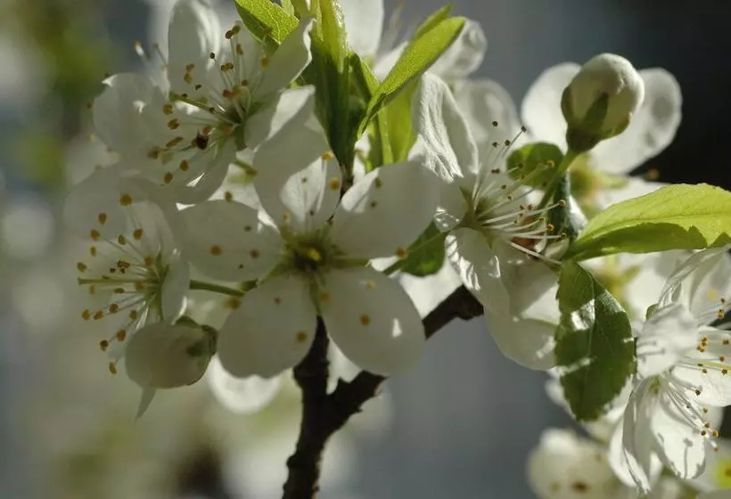 Solviken Tranås Hostel