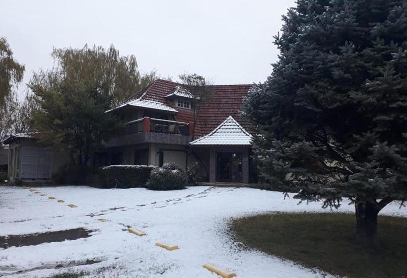 ユースホステル Hosteria Amparo