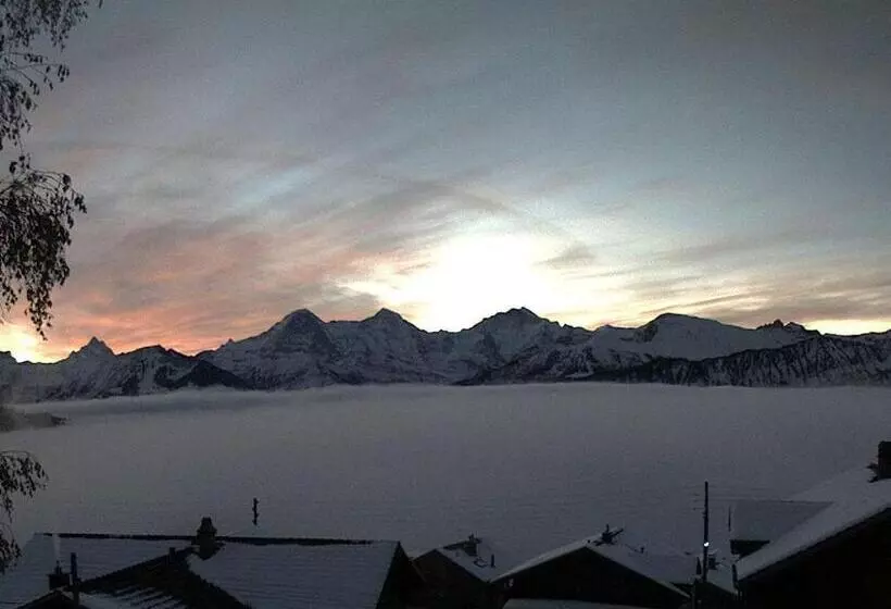 Apartments Seeblick Mit Anbindung An Ein 4 Sterne