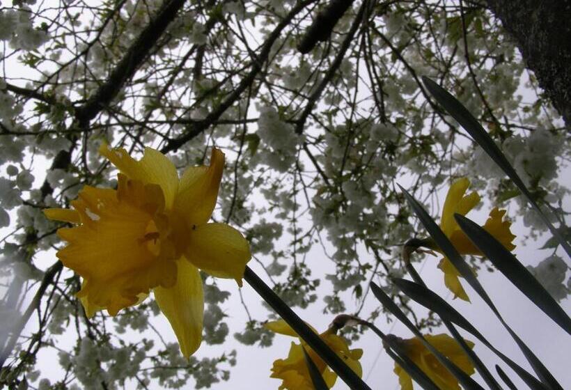 مبيت وإفطار Killurin Lodge