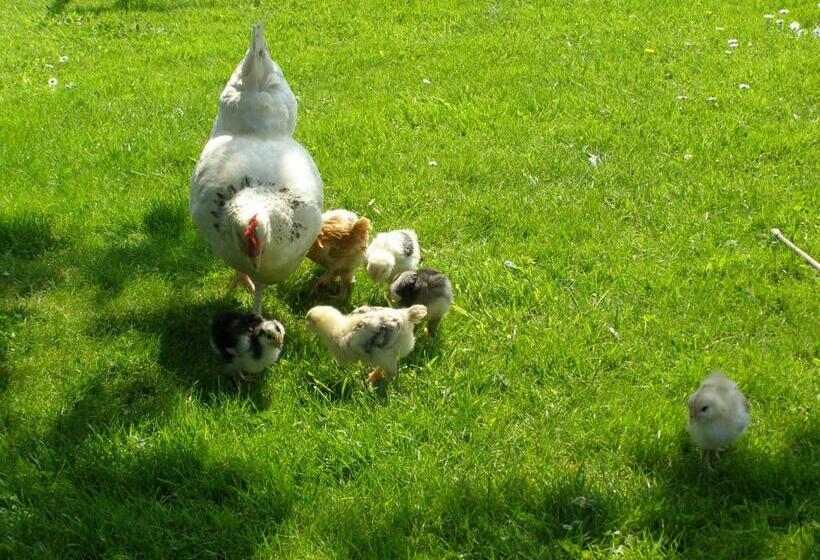 مبيت وإفطار Killurin Lodge