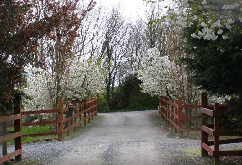 مبيت وإفطار Killurin Lodge