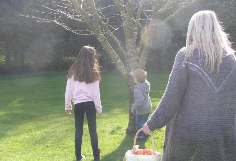 مبيت وإفطار Killurin Lodge