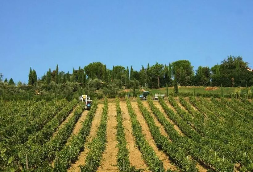 ホテル Agriturismo Isola Verde