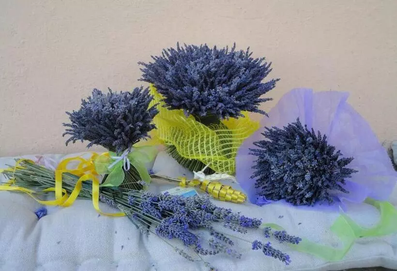 هتل Agriturismo Monterosello