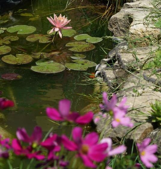 فندق Villa Pallavicini B&b