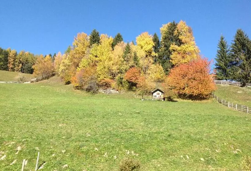 ホテル Berggasthaus Agritur Moserhof