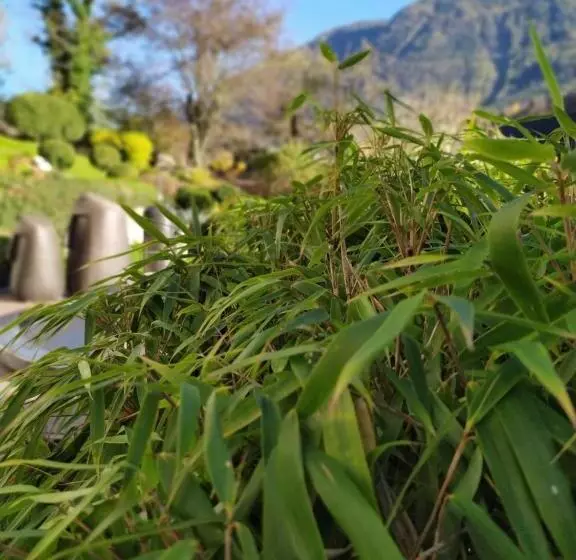 ペンション Gästehaus Waldeck