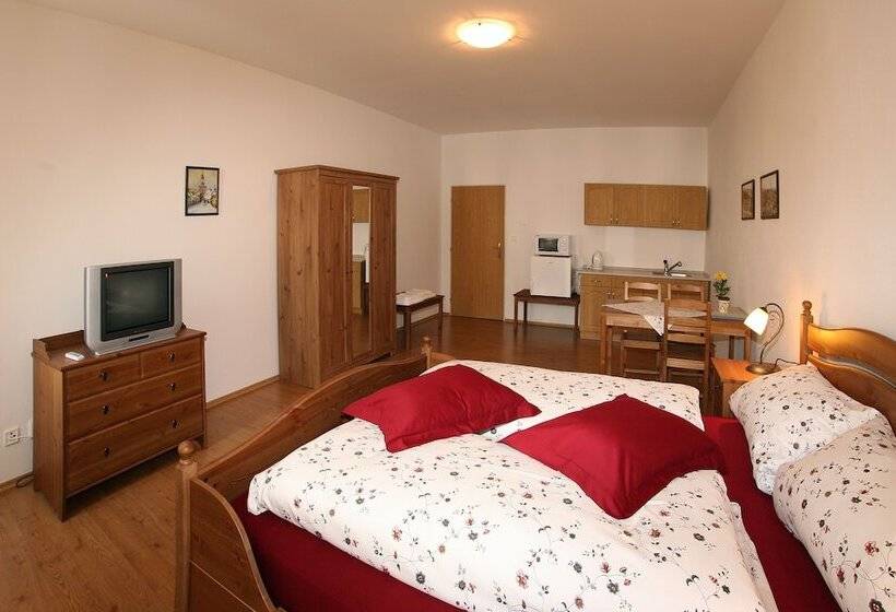 펜션 Penzion U Chodskeho Hradu