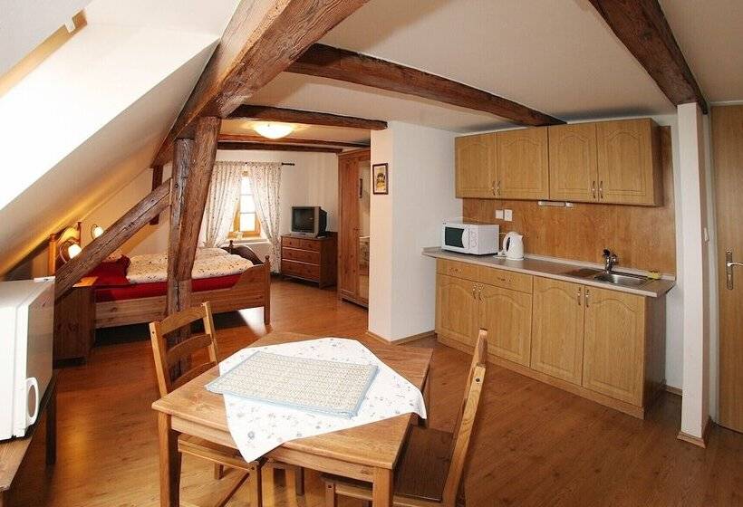 펜션 Penzion U Chodskeho Hradu