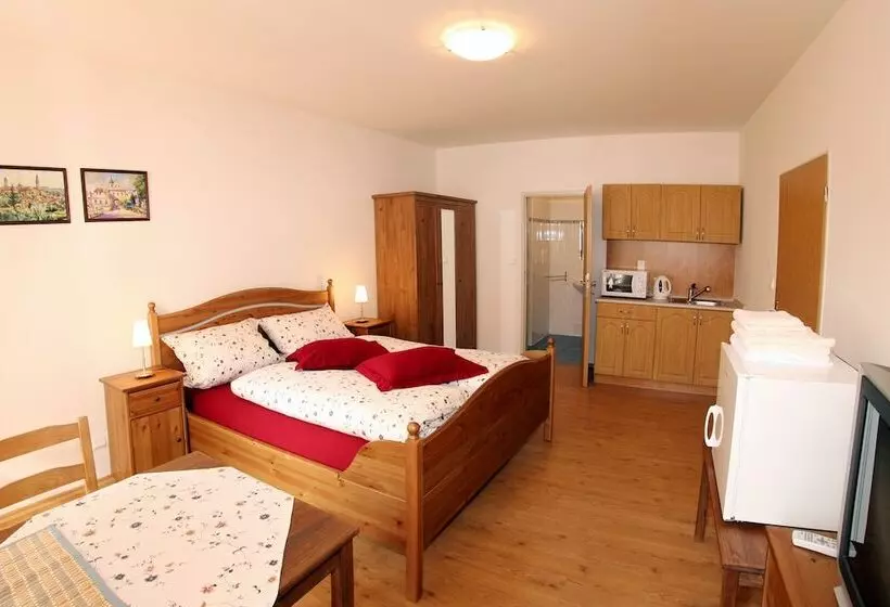 Majatalo Penzion U Chodskeho Hradu