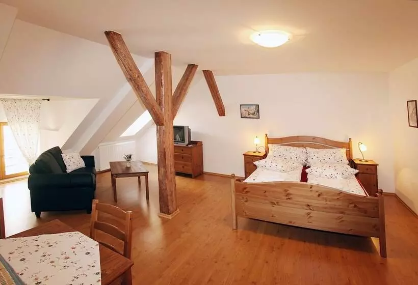 Majatalo Penzion U Chodskeho Hradu