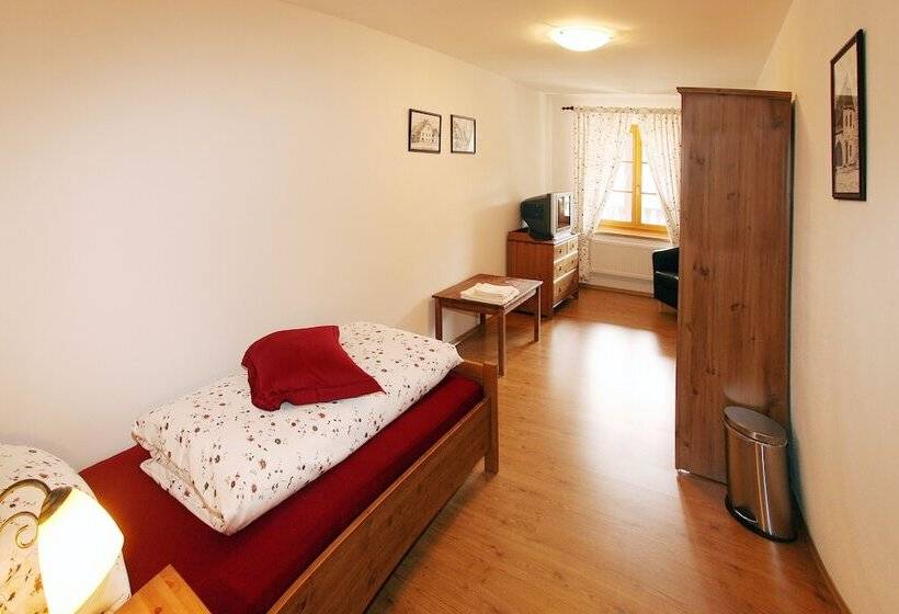 펜션 Penzion U Chodskeho Hradu