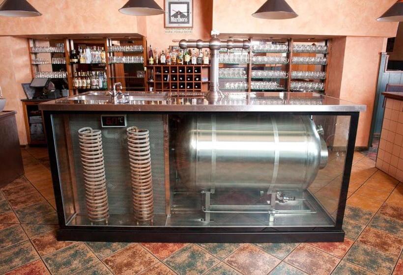 بنسيون Penzion Zelená žába