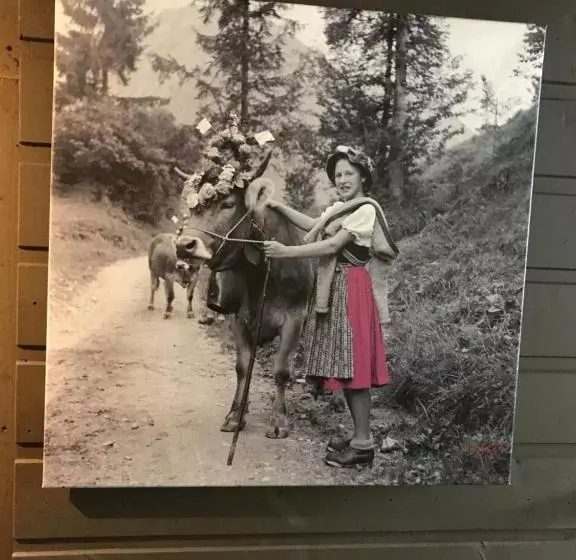 ペンション Schittlerhaus