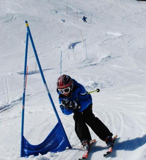 旅馆 Mont Fort Swiss Lodge