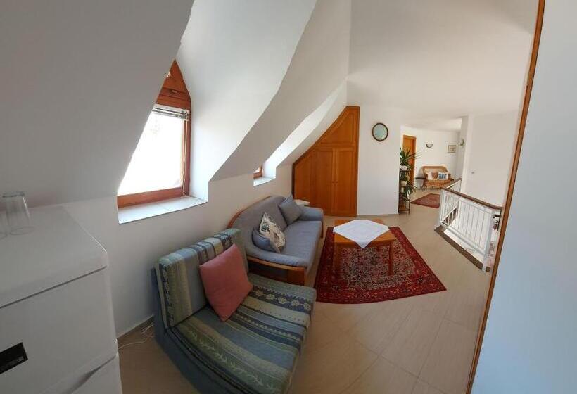 بنسيون Emil Porta