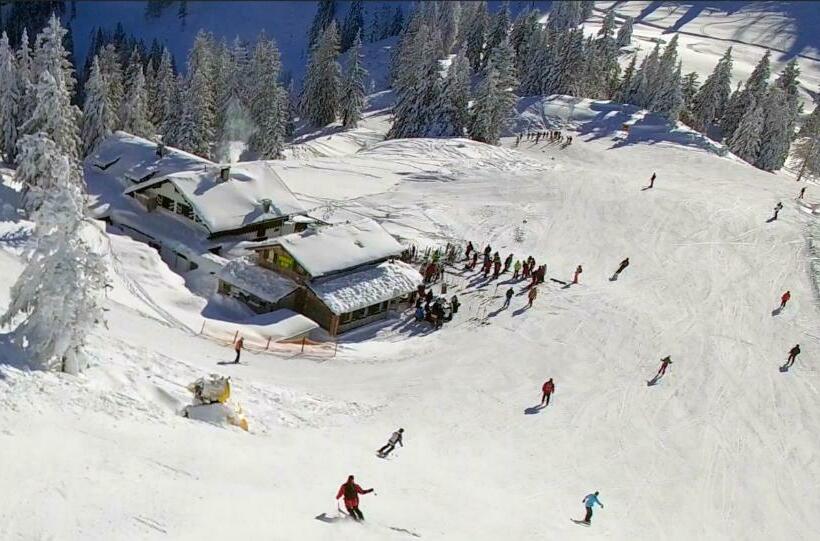 Frühstückspension Pachler