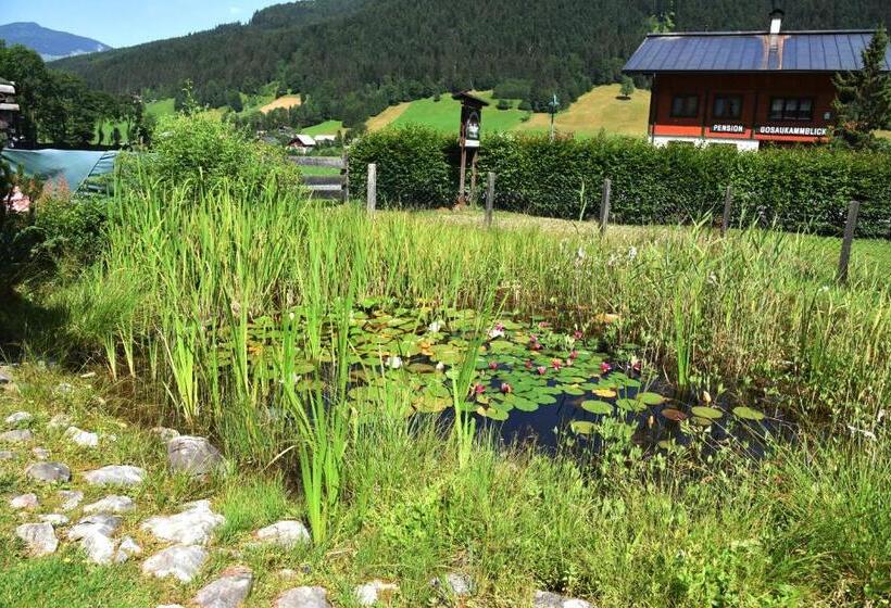 Frühstückspension Pachler