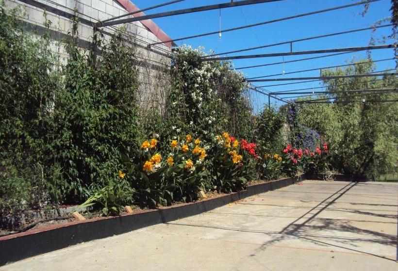 Пансион El Aceitón