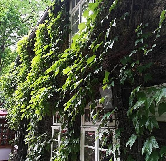 膳宿费 Gasthof Bad Hopfenberg