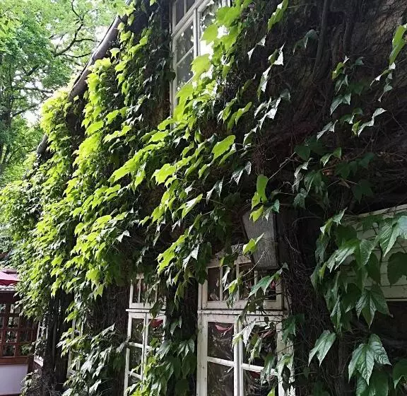 ペンション Gasthof Bad Hopfenberg