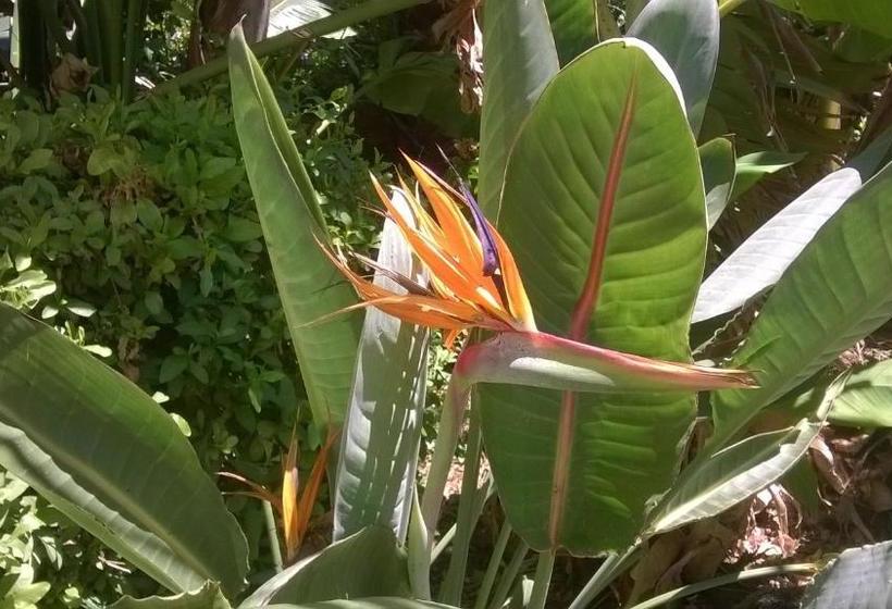 ペンション Malherbe Guesthouse