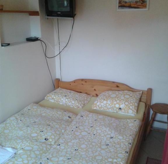 膳宿费 Penzion U Vejvodu