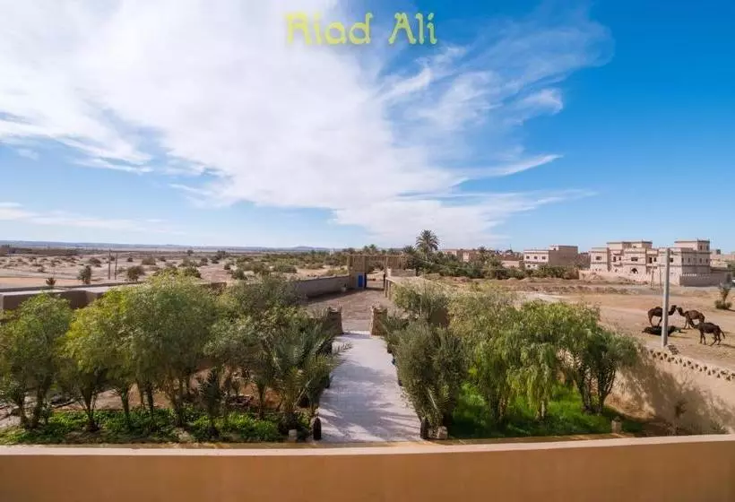 Riad Ali