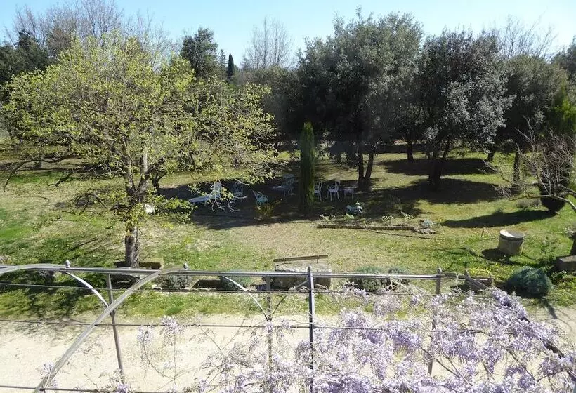 ベッドアンドブレックファースト Mas Las Vitalis